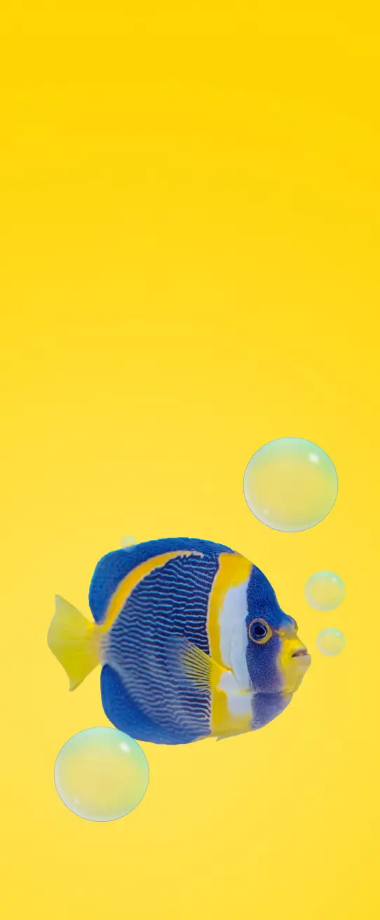 Pesci